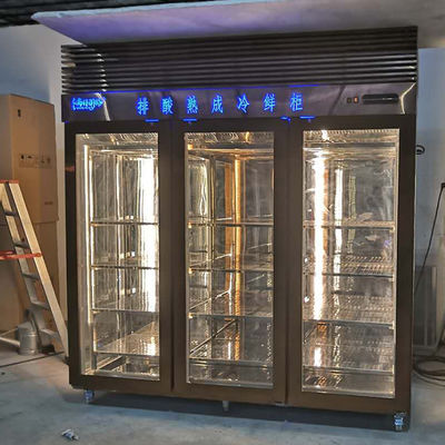 πόρτα 2200mm τριών ταλάντευσης όρθιος ψυκτήρας ψυγείων για την μπύρα